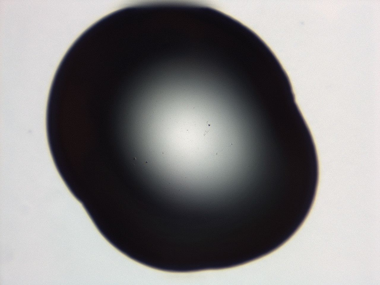 04es_D9_ImagerDefaults_0.jpg