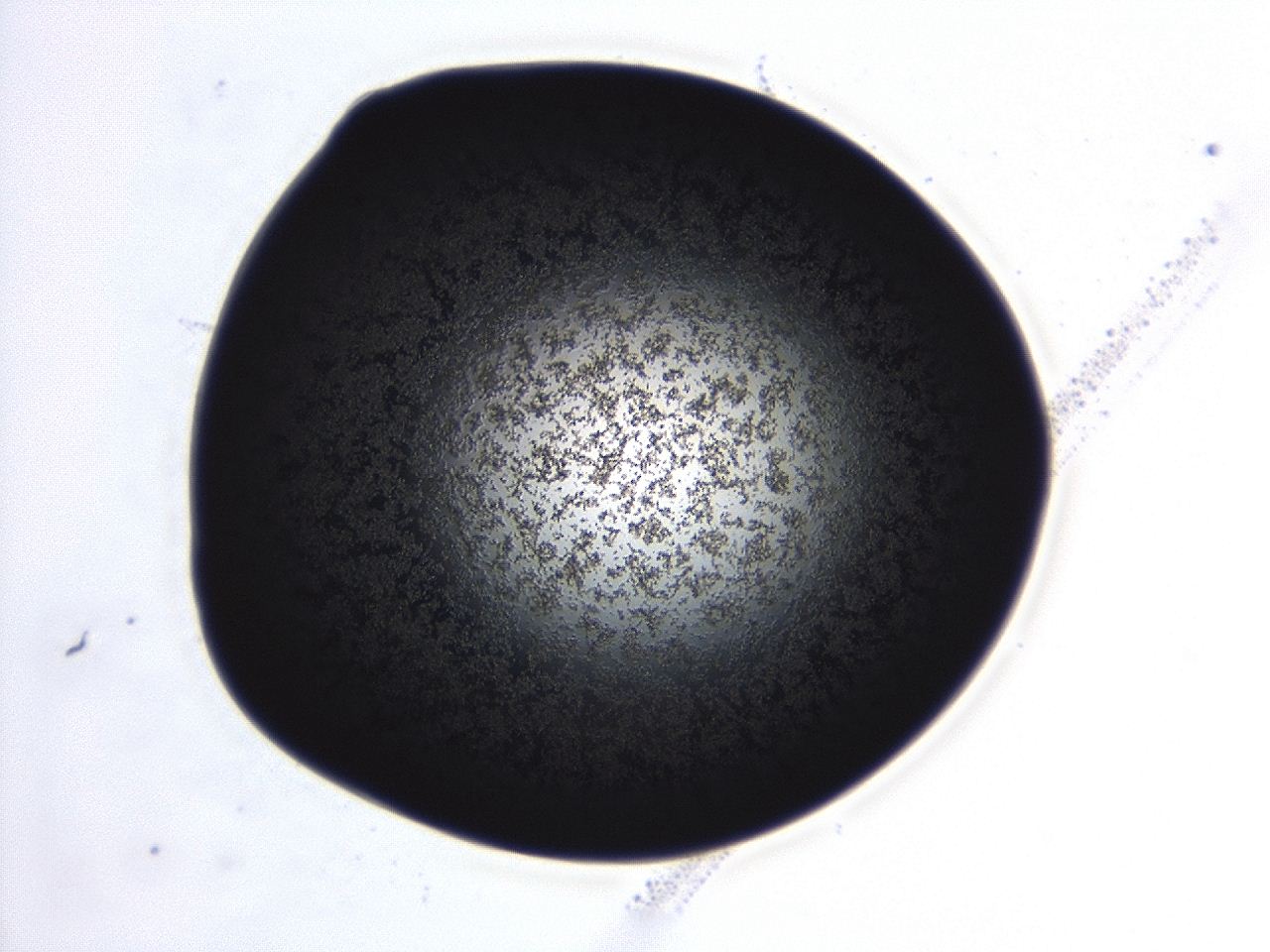 04es_D10_ImagerDefaults_3.jpg