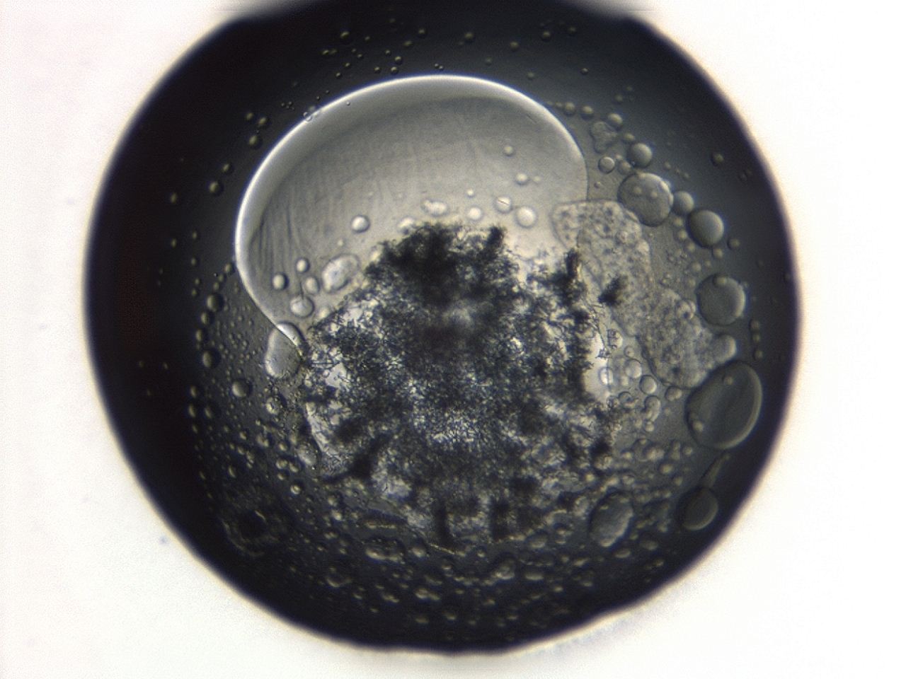 04es_D12_ImagerDefaults_3.jpg