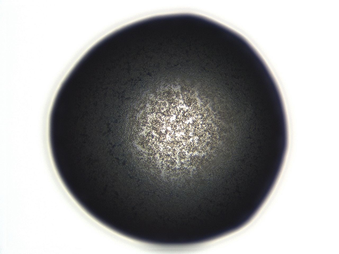 04es_F12_ImagerDefaults_3.jpg