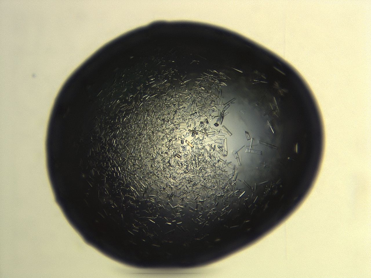 04es_G2_ImagerDefaults_8.jpg