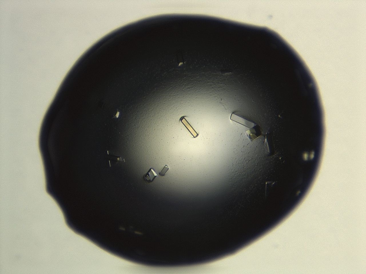 04es_G10_ImagerDefaults_8.jpg