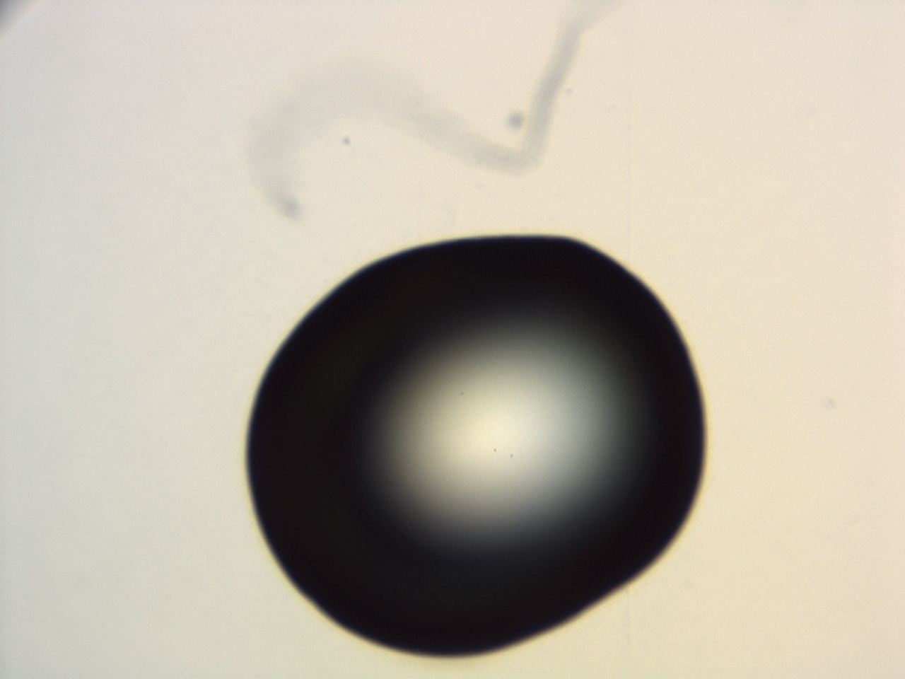 04es_H2_ImagerDefaults_0.jpg