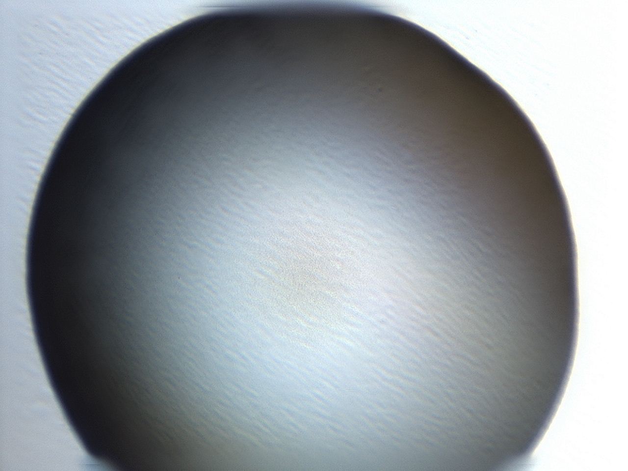 04es_H5_ImagerDefaults_0.jpg