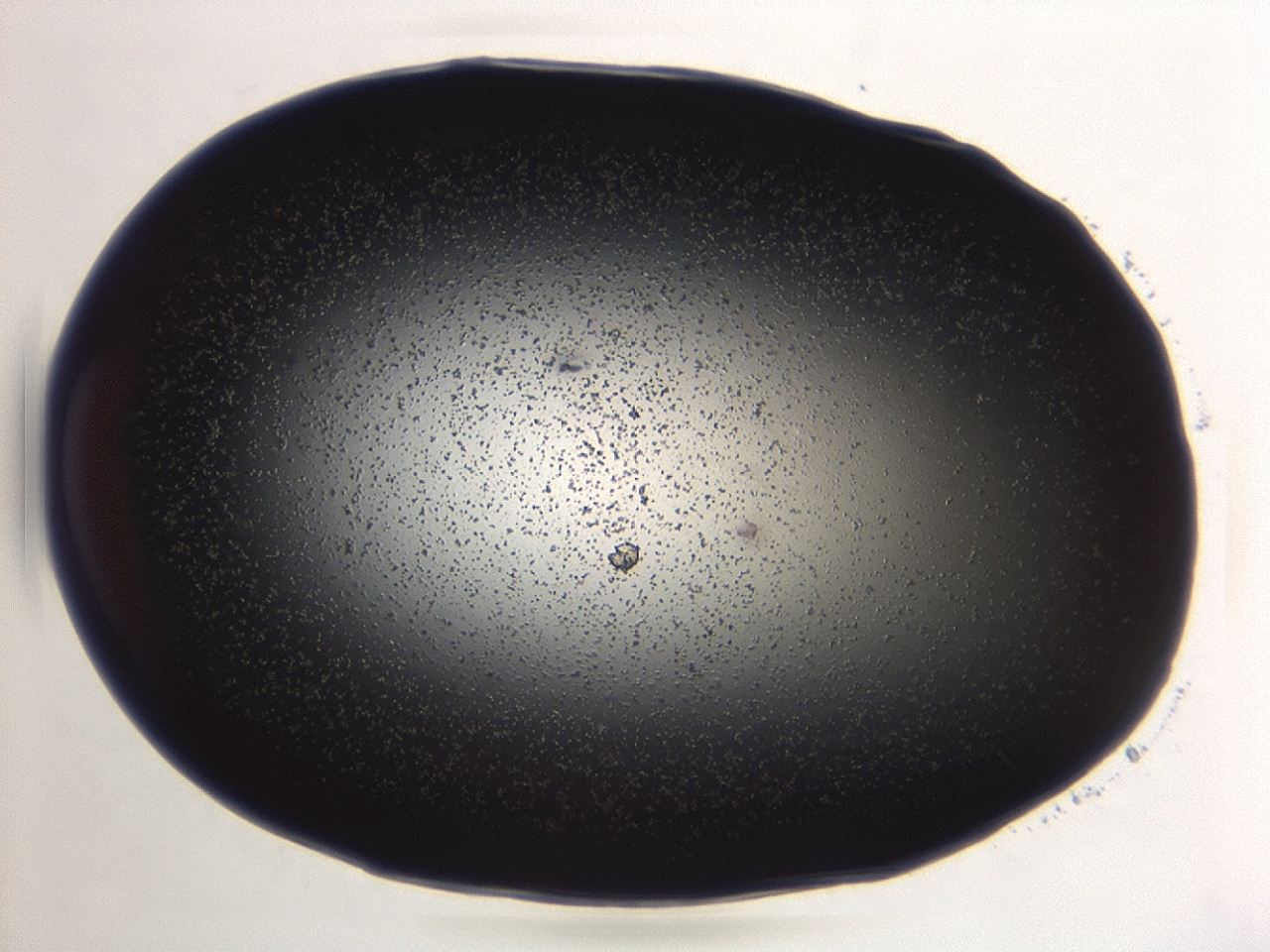 04et_A12_ImagerDefaults_0.jpg