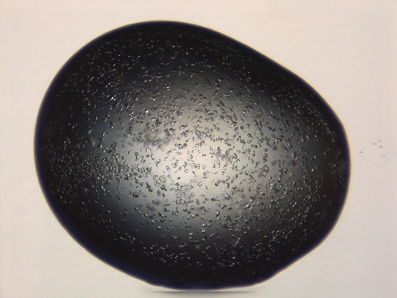 04et_A6_ImagerDefaults_8.jpg