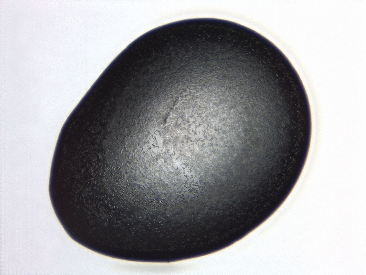 04et_B8_ImagerDefaults_8.jpg