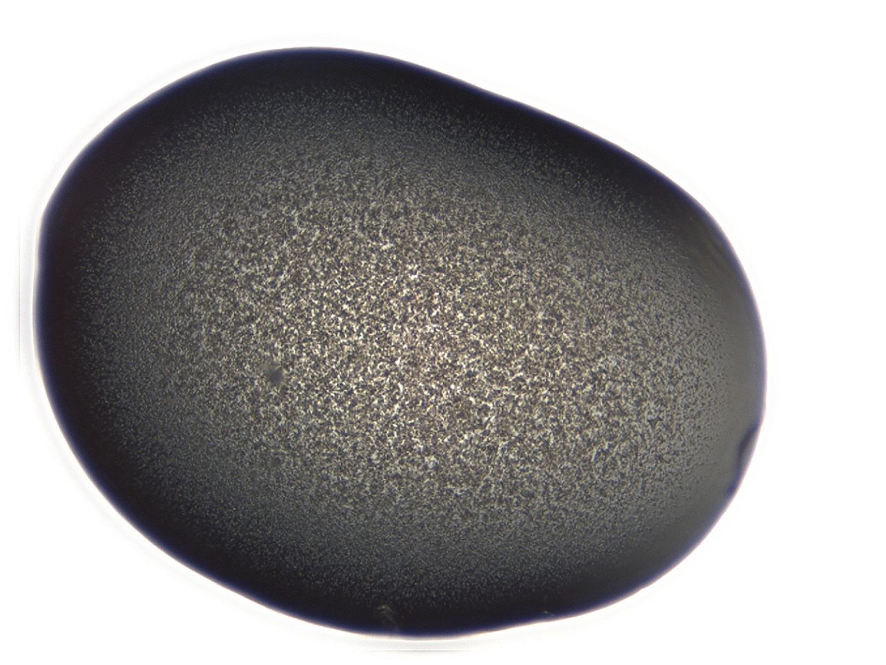 04et_A8_ImagerDefaults_3.jpg