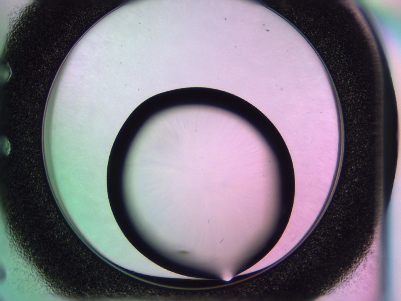 0172_E6_ImagerDefaults_0.jpg