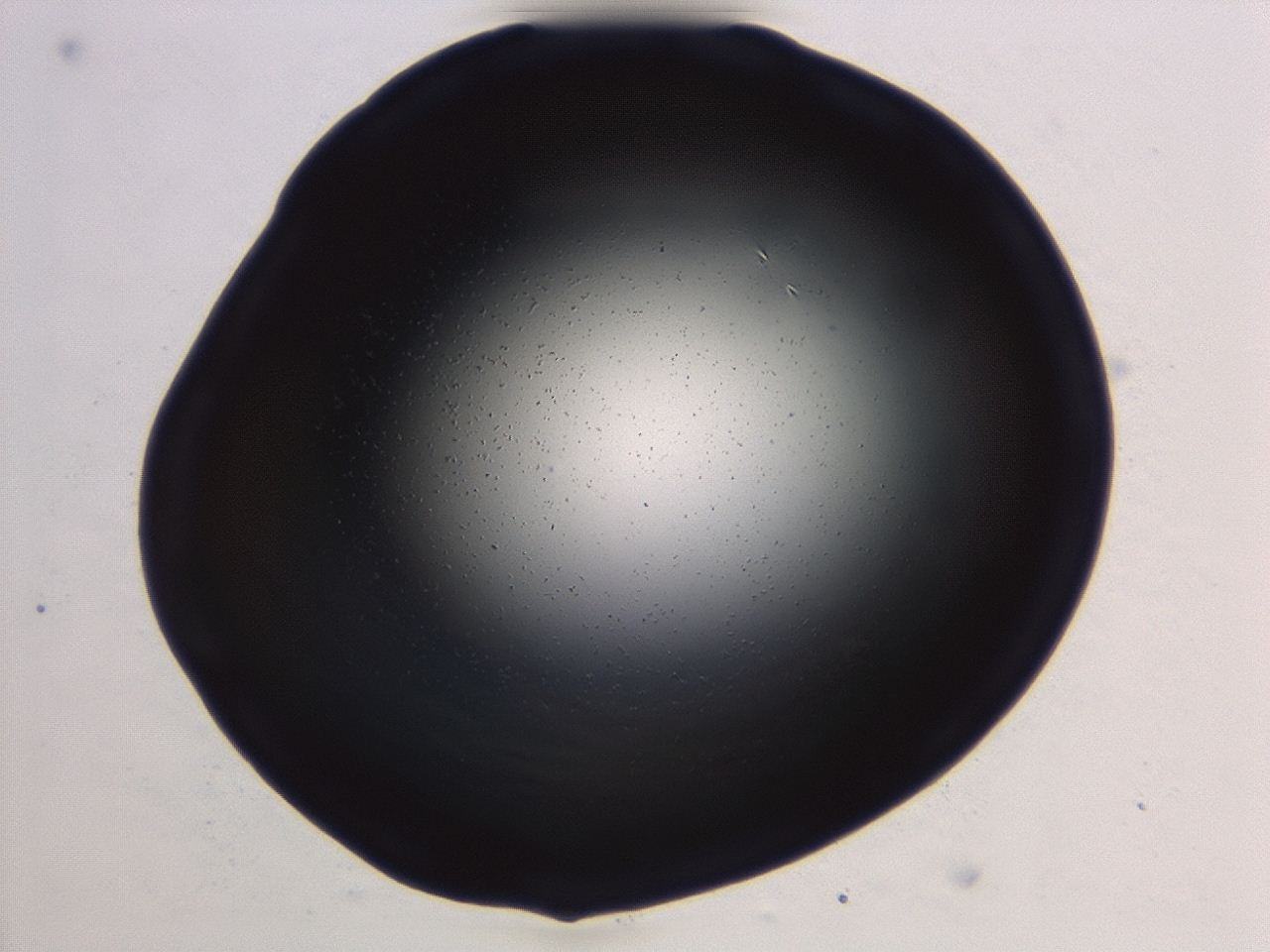 04et_B10_ImagerDefaults_0.jpg