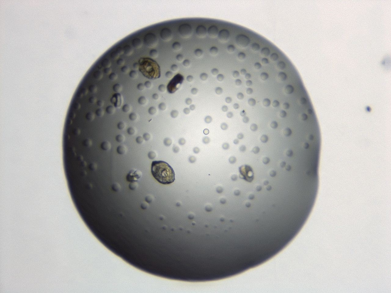 04et_C12_ImagerDefaults_0.jpg
