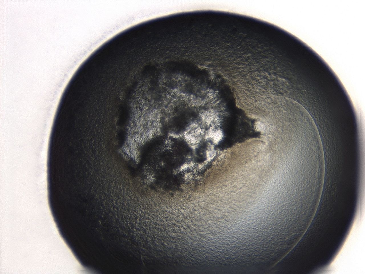 04et_D12_ImagerDefaults_3.jpg