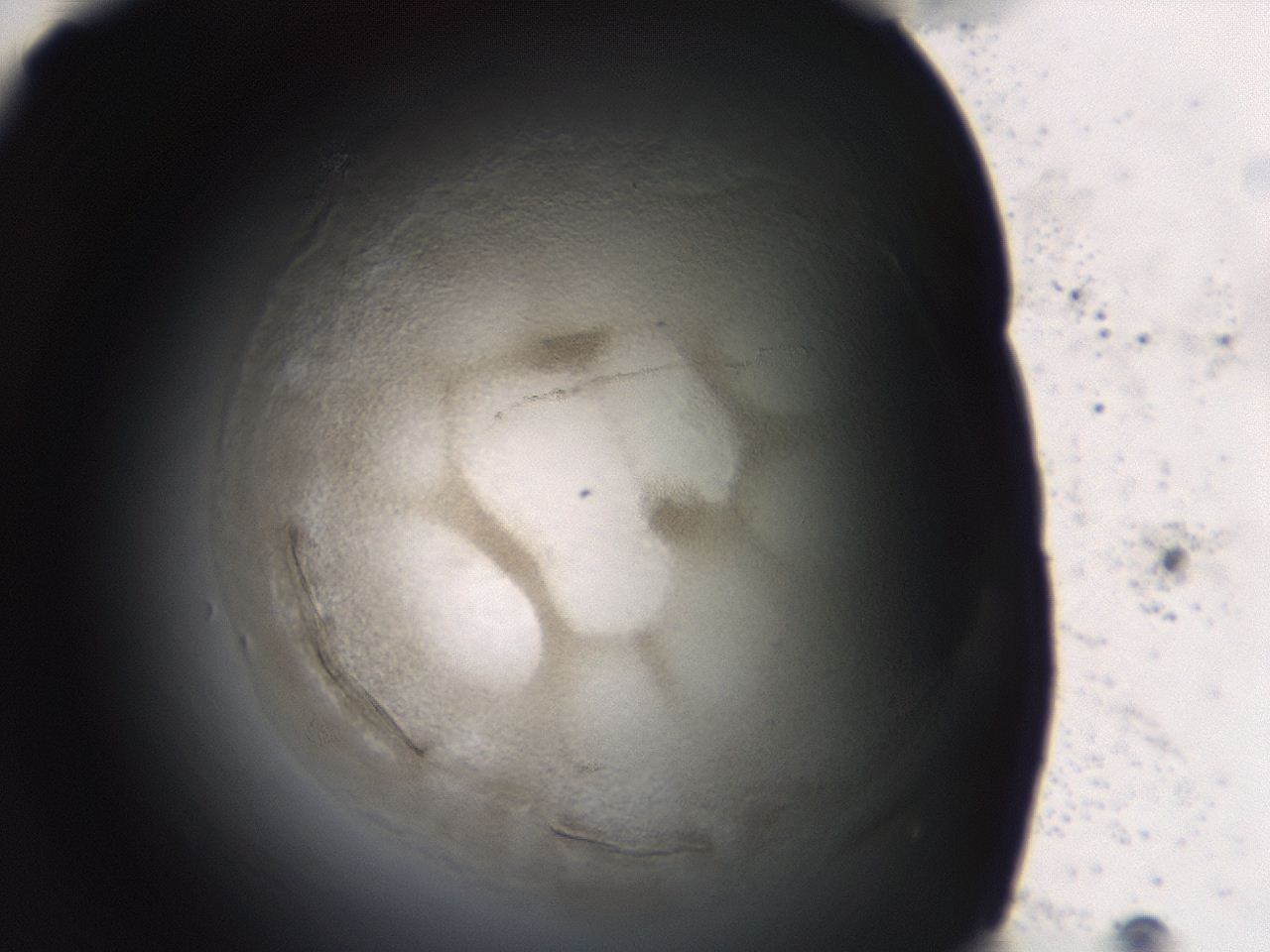 04et_E4_ImagerDefaults_3.jpg