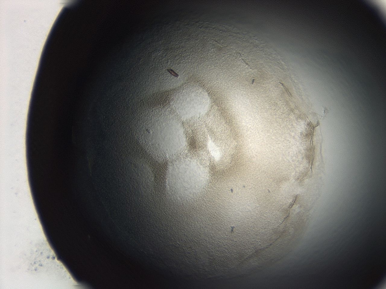04et_E5_ImagerDefaults_3.jpg