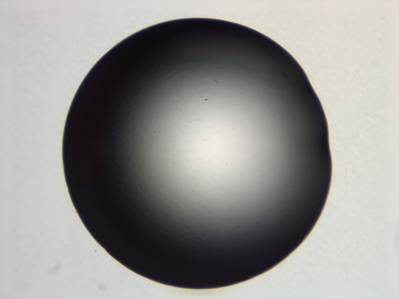 04et_E9_ImagerDefaults_0.jpg