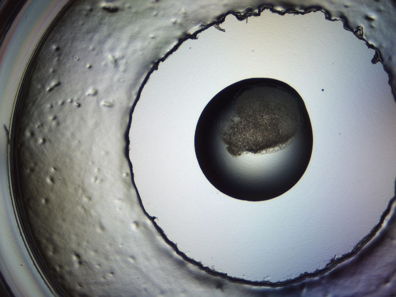 04et_E10_ImagerDefaults_3.jpg