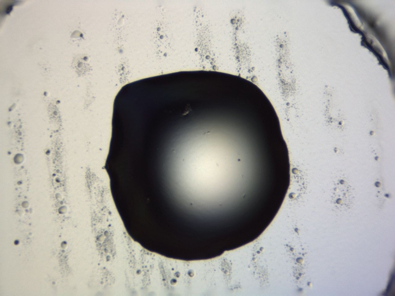 04et_F3_ImagerDefaults_0.jpg