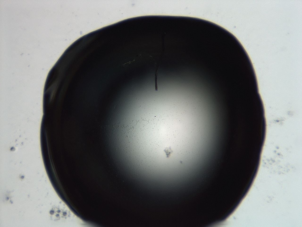 04et_F5_ImagerDefaults_0.jpg
