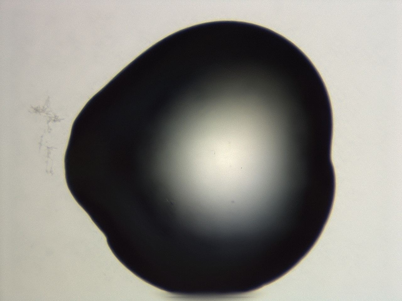 04et_F7_ImagerDefaults_0.jpg