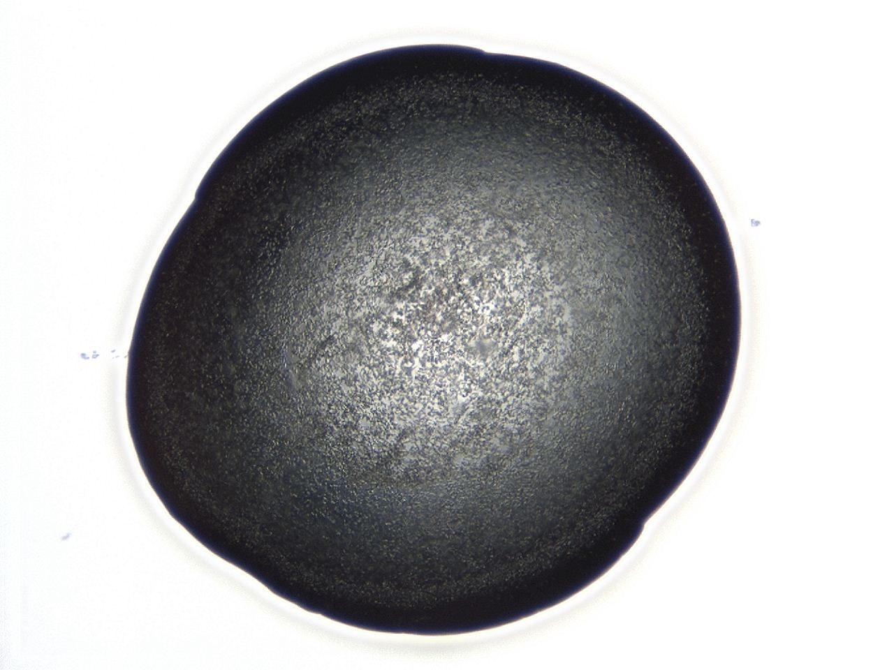 04et_B11_ImagerDefaults_3.jpg