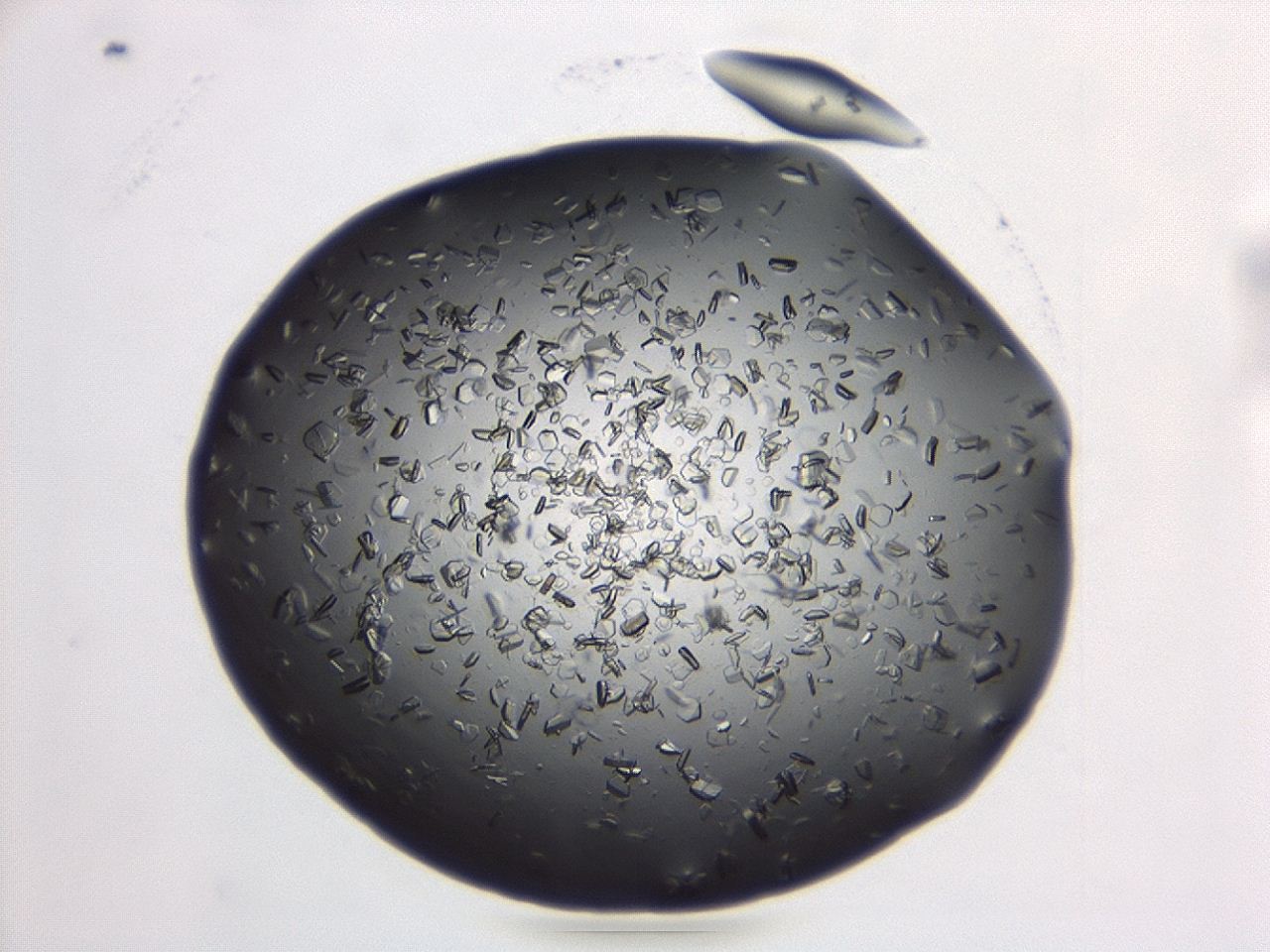 04et_B12_ImagerDefaults_8.jpg
