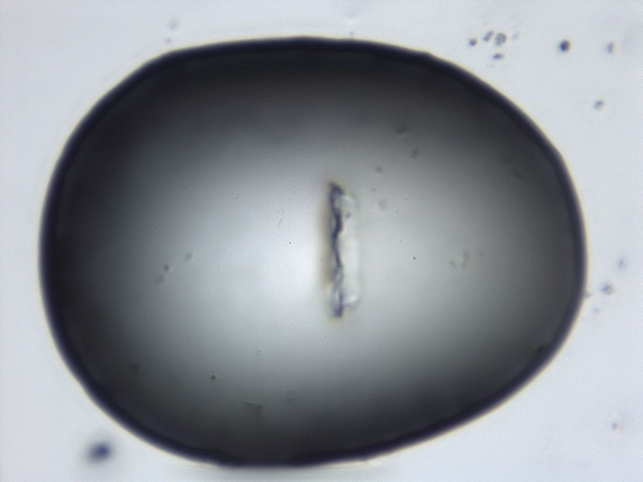 04et_C1_ImagerDefaults_0.jpg
