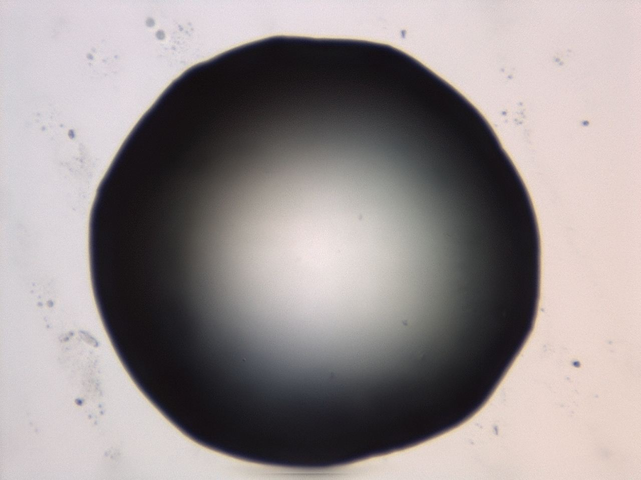 04et_C2_ImagerDefaults_0.jpg