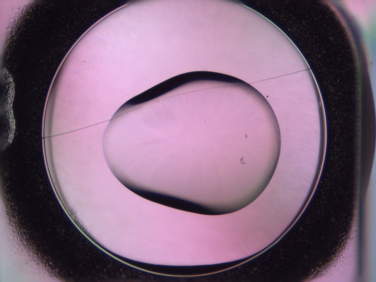 0172_B1_ImagerDefaults_0.jpg