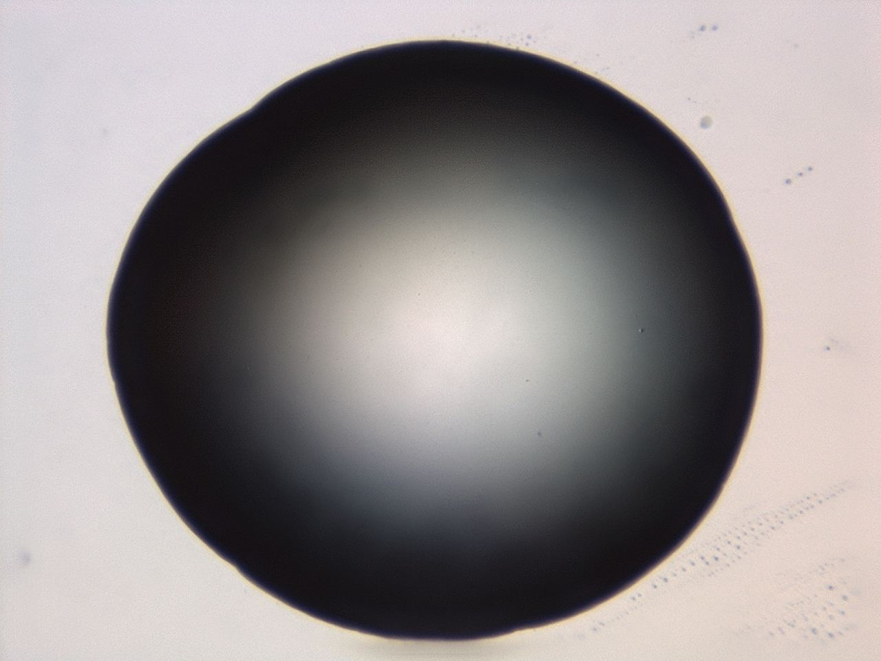 04et_C6_ImagerDefaults_0.jpg