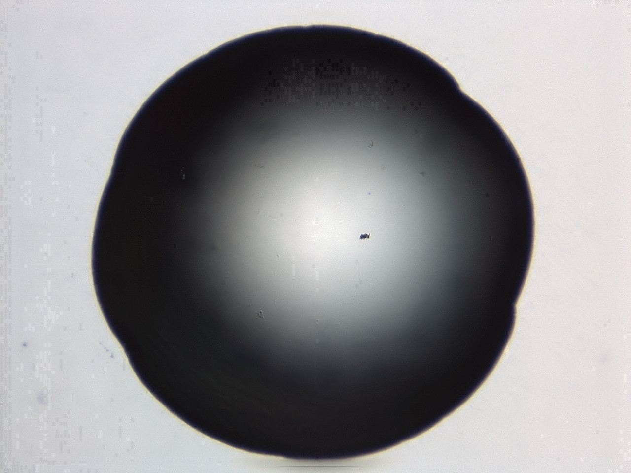 04et_C11_ImagerDefaults_0.jpg