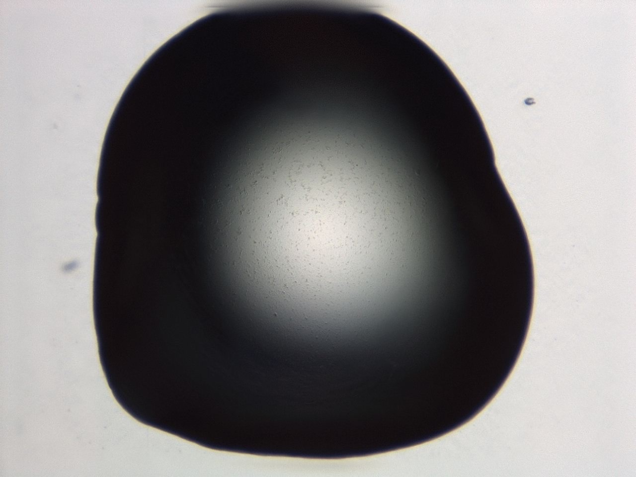 04et_D8_ImagerDefaults_0.jpg
