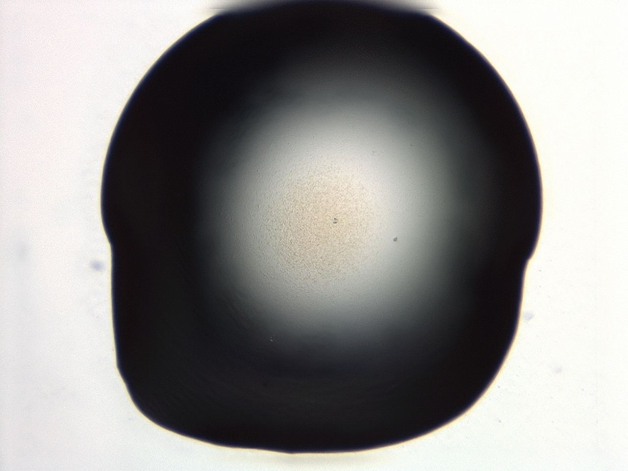 04et_D9_ImagerDefaults_0.jpg