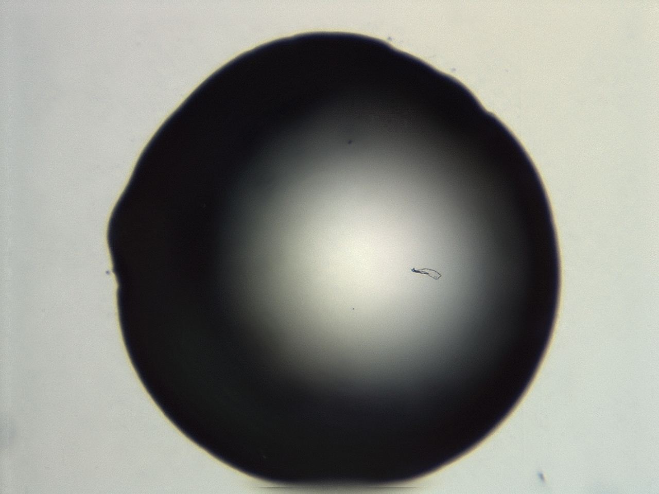 04et_F9_ImagerDefaults_0.jpg