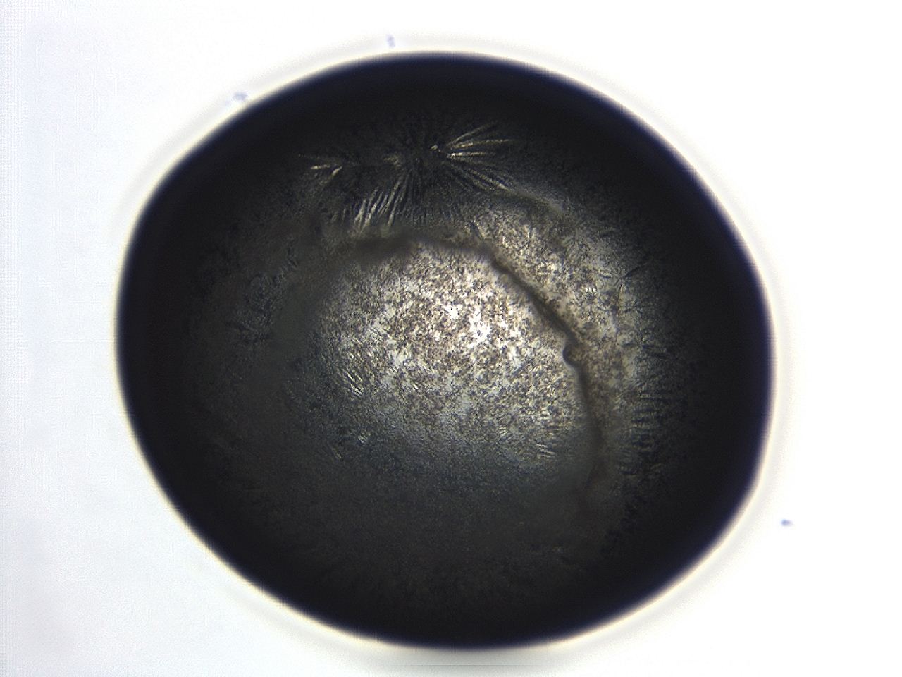 04et_F12_ImagerDefaults_3.jpg