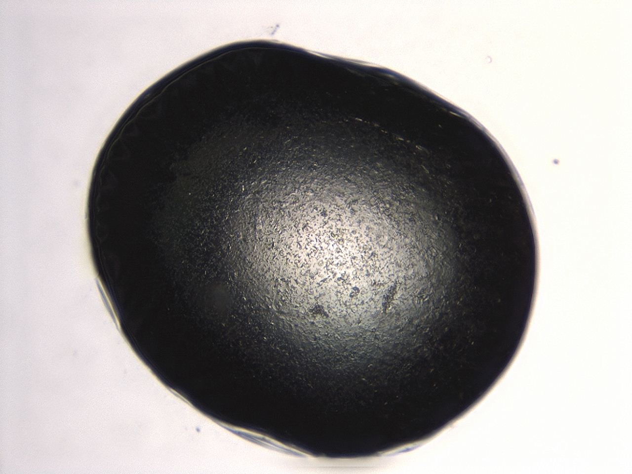 04et_G4_ImagerDefaults_6.jpg