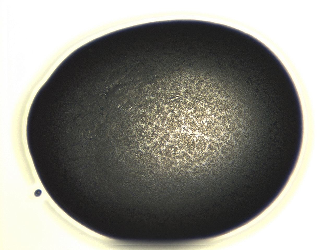 04et_G10_ImagerDefaults_3.jpg