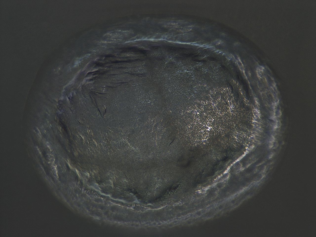 04et_G11_ImagerDefaults_3.jpg