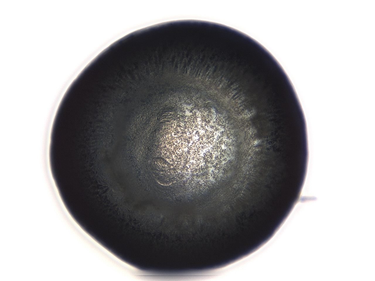 04et_G12_ImagerDefaults_3.jpg