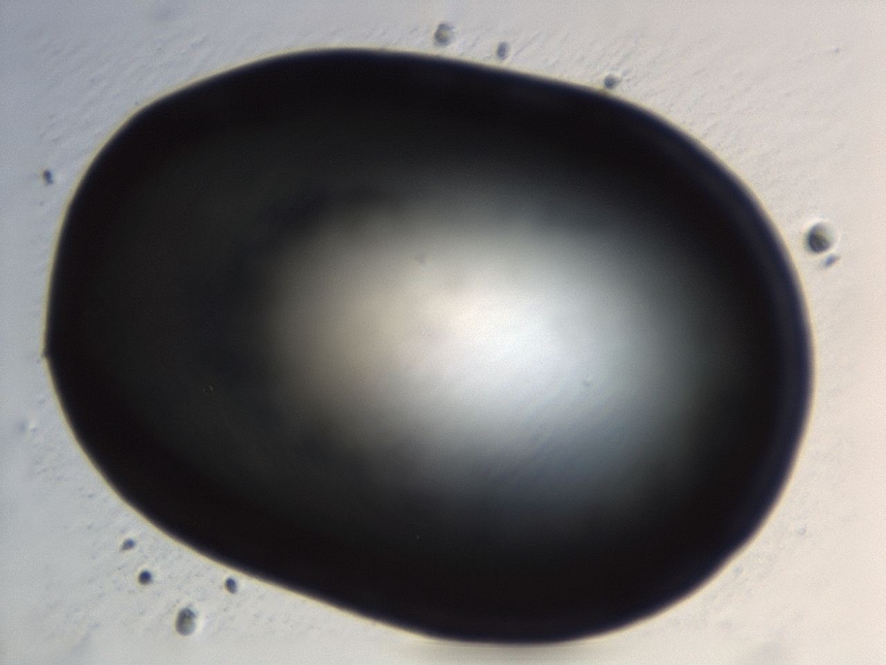 04et_H4_ImagerDefaults_0.jpg