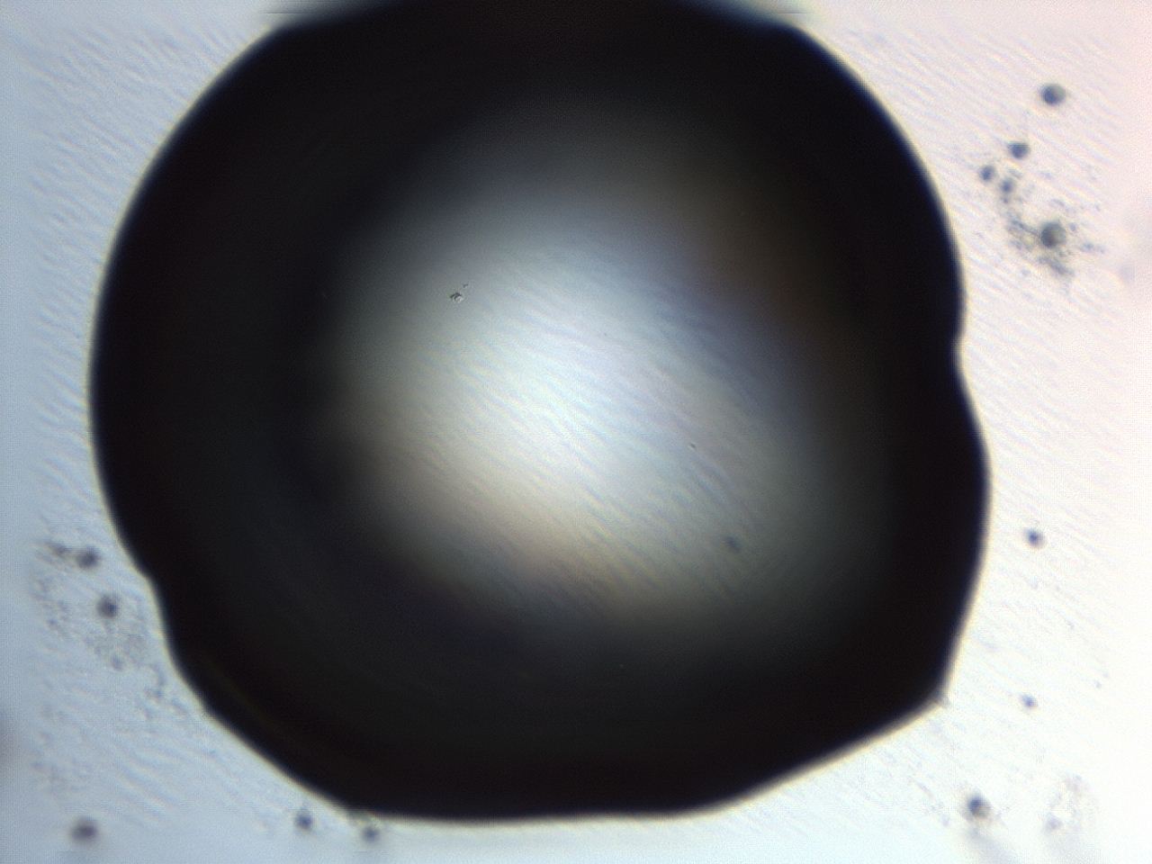 04et_H5_ImagerDefaults_0.jpg