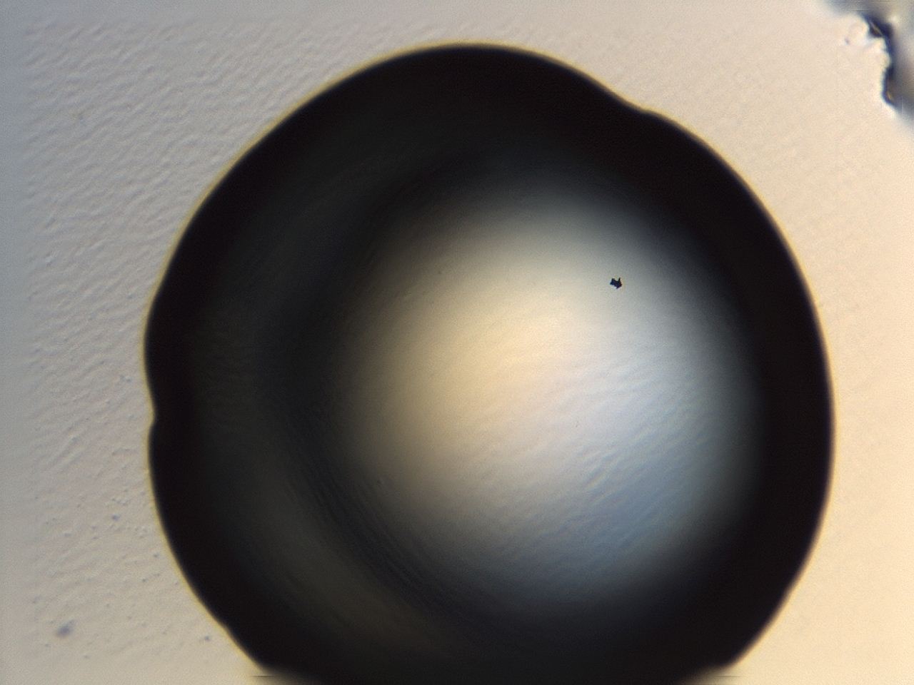04et_H8_ImagerDefaults_0.jpg