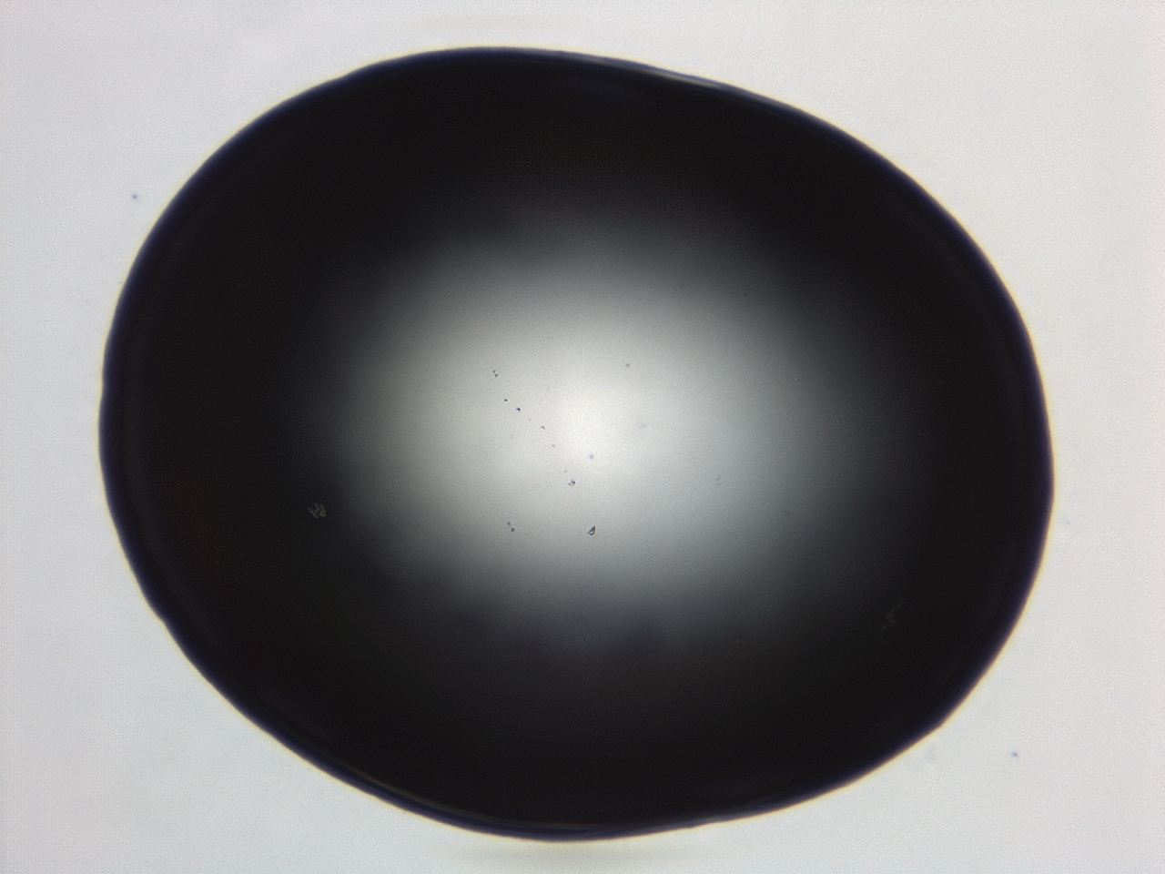 04eu_C8_ImagerDefaults_0.jpg