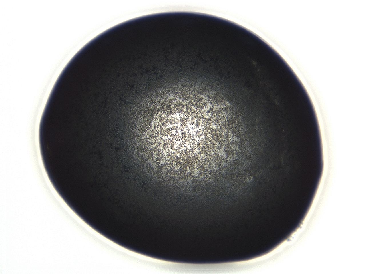 04eu_D11_ImagerDefaults_3.jpg