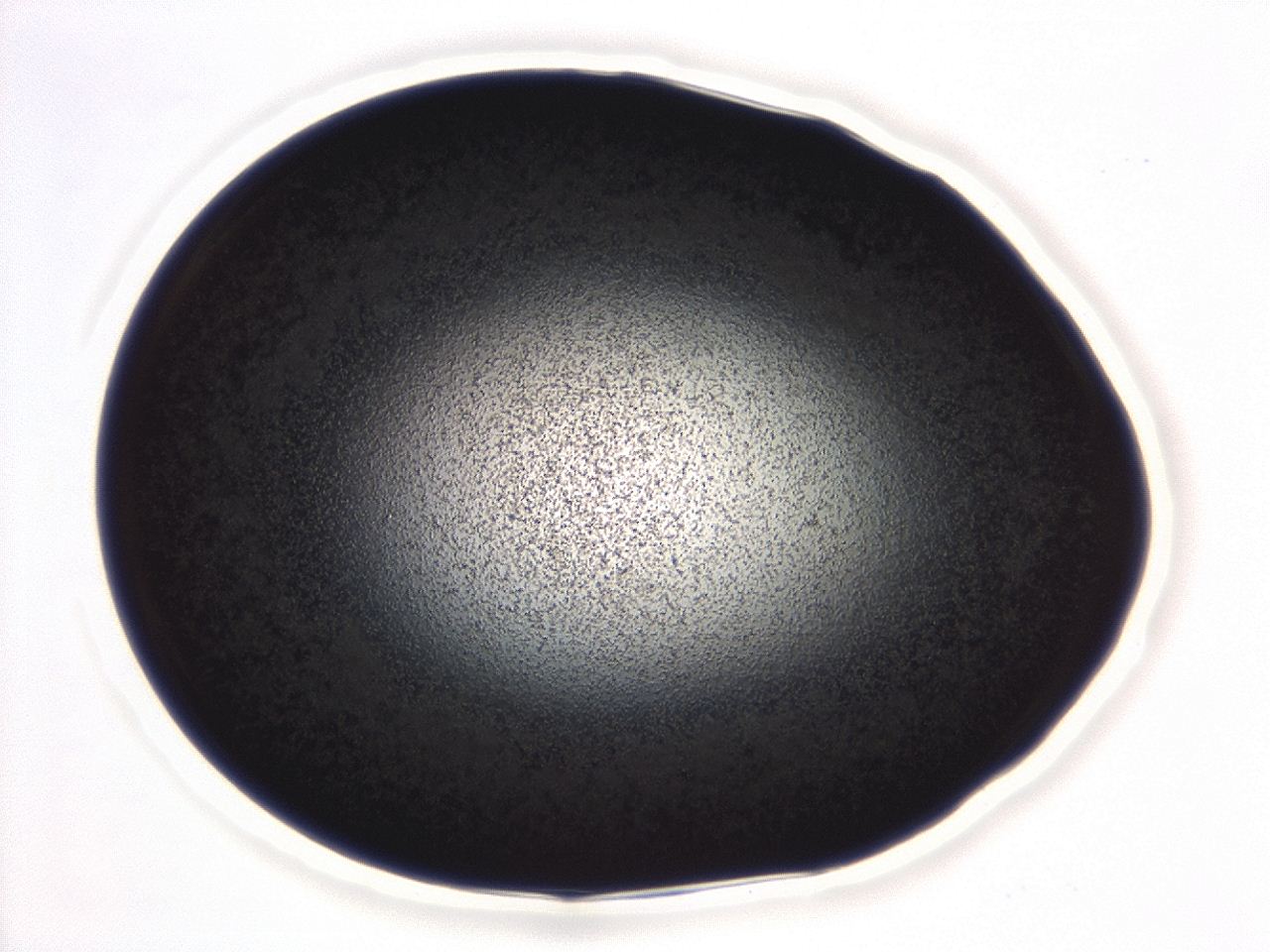 04eu_B5_ImagerDefaults_3.jpg