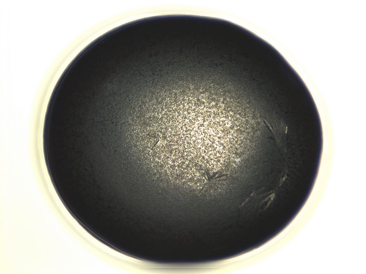 04eu_G10_ImagerDefaults_3.jpg