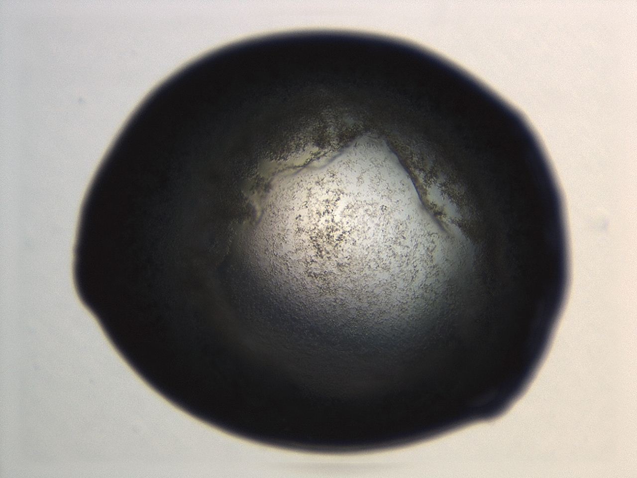 04eu_G12_ImagerDefaults_3.jpg