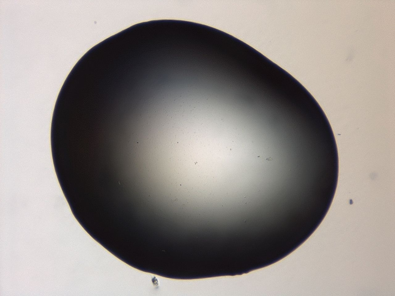 04ev_A4_ImagerDefaults_0.jpg