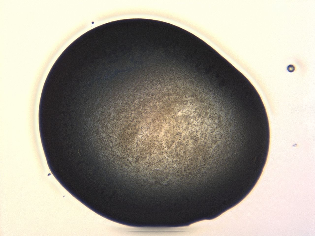 04ev_A2_ImagerDefaults_3.jpg