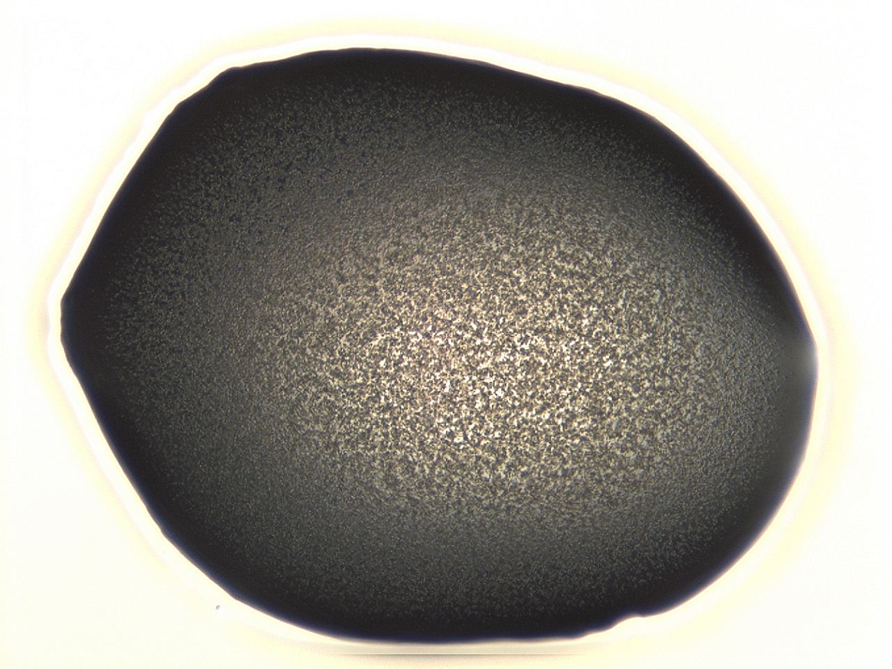 04ev_A10_ImagerDefaults_3.jpg