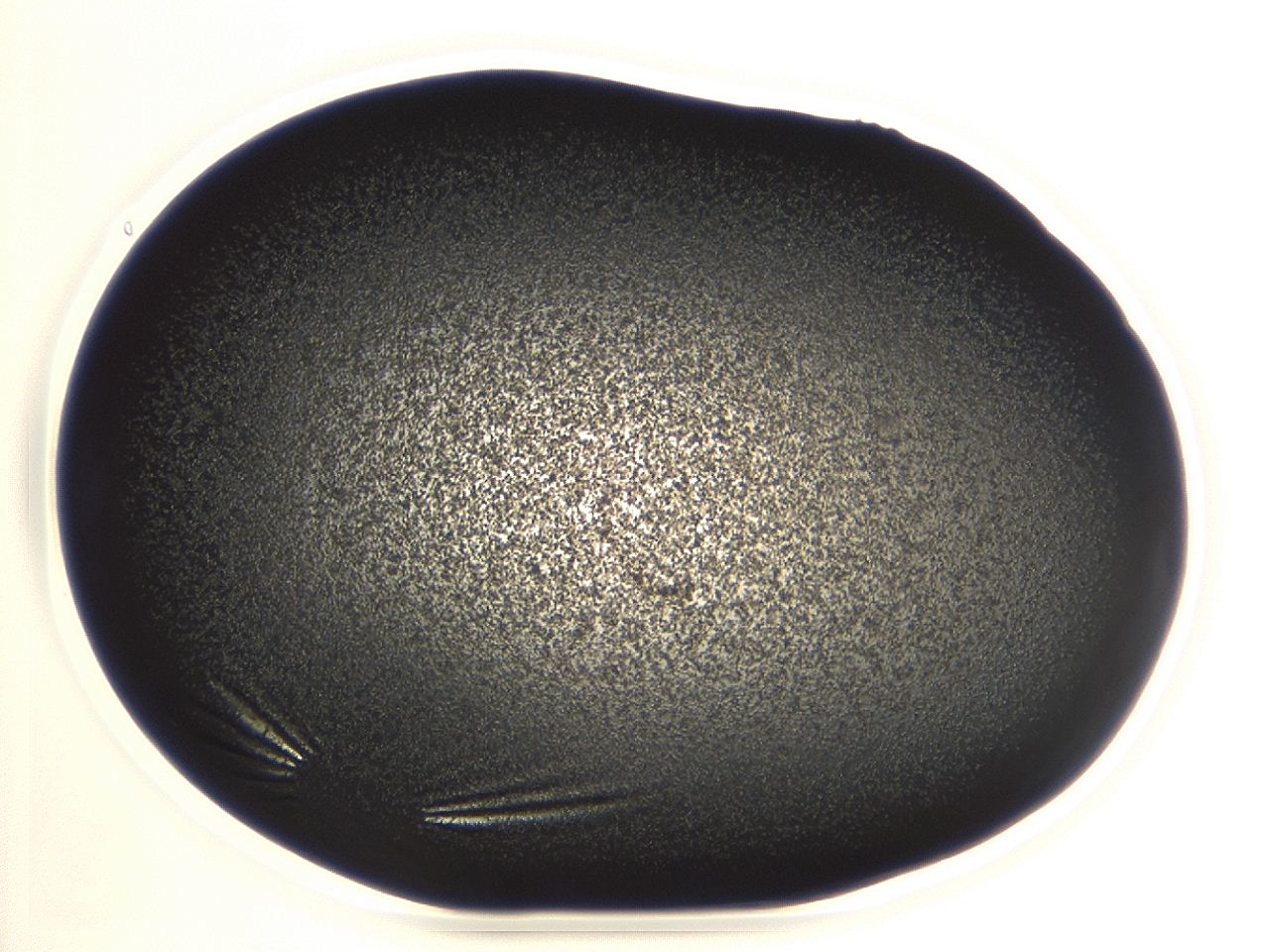 04ev_A11_ImagerDefaults_3.jpg